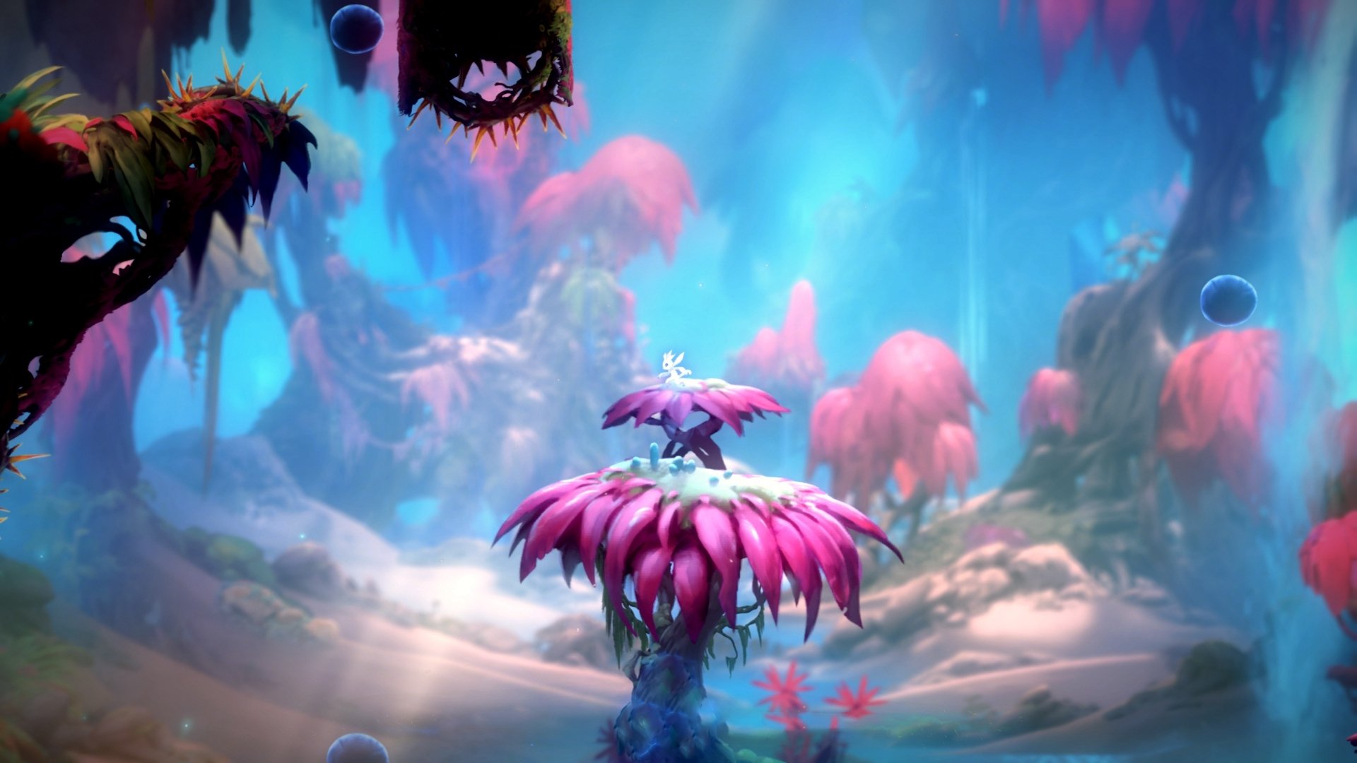 凯里·欧文自编动画短片上线,融入篮球与哲学元素,凯里欧文剪辑视频