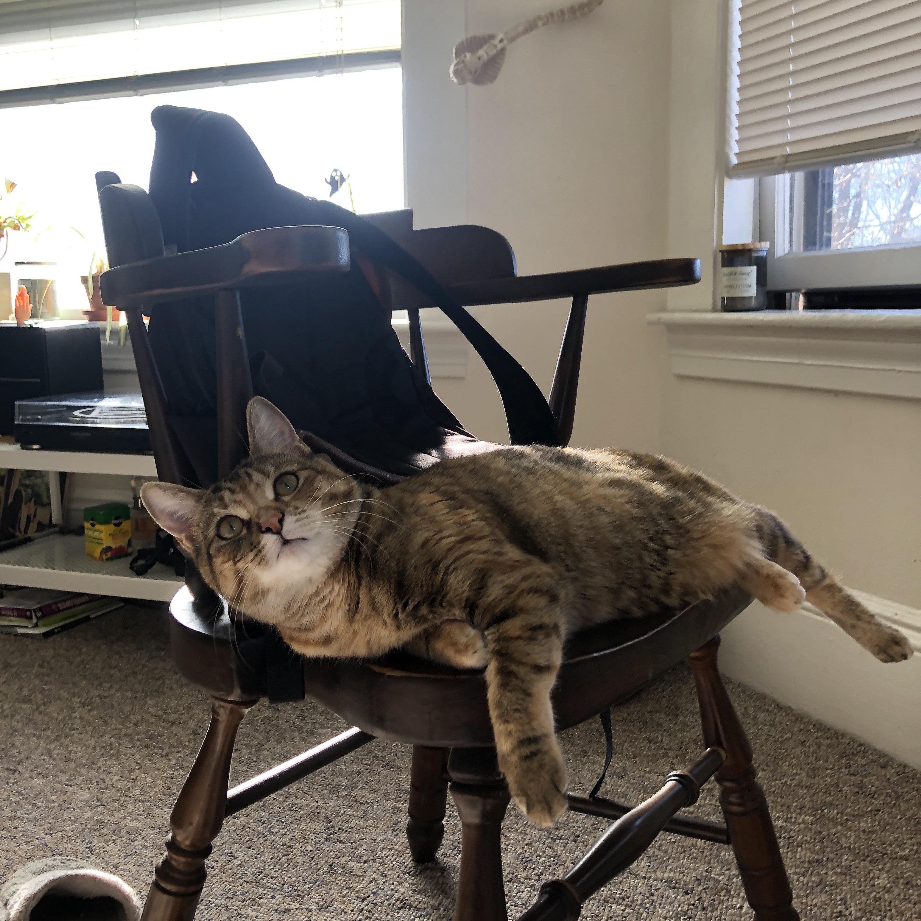 塞内加尔男足在巴黎奥运会比赛中以2-0战胜日本,塞内加尔国足