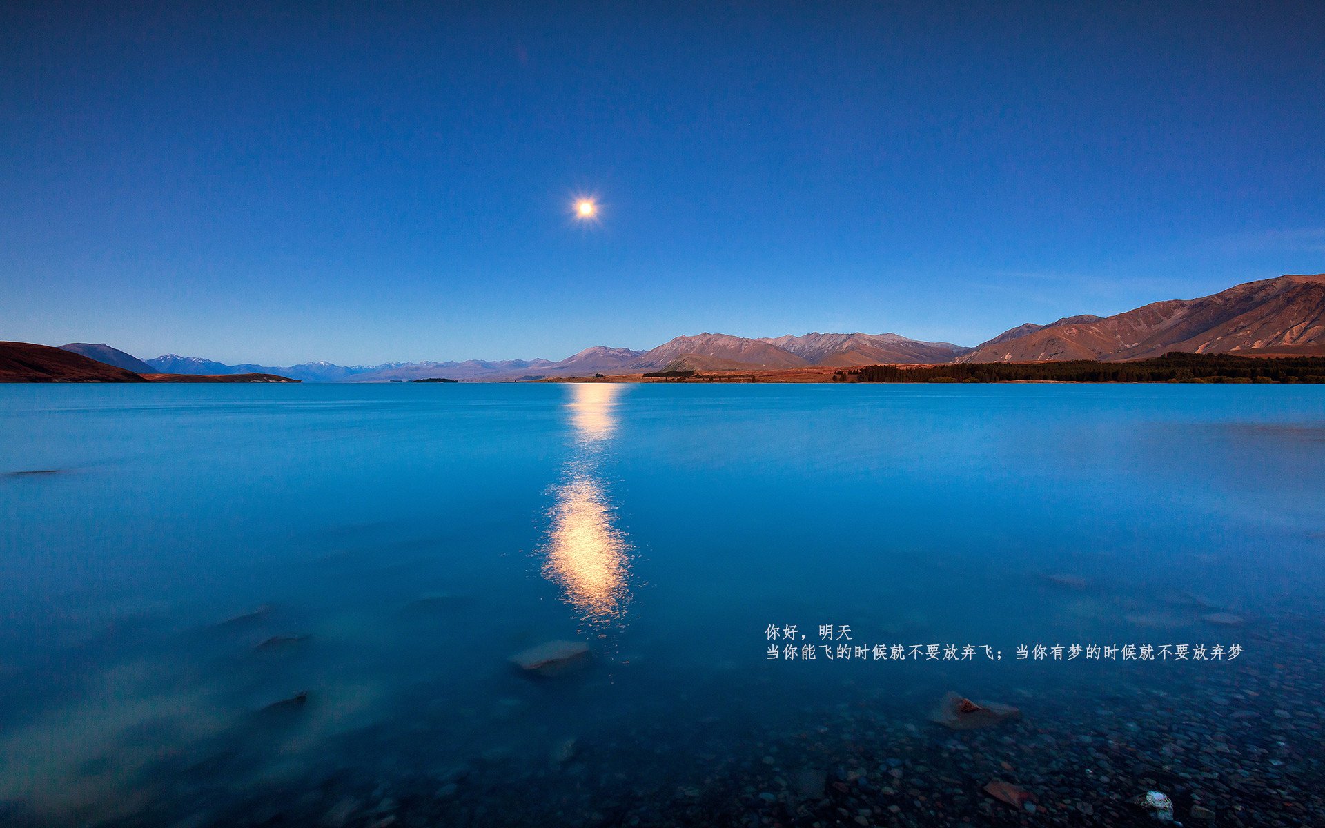 开云kaiyun-大洋彼岸冲浪盛典，感受海浪激荡的青春热血，大洋彼岸是谁