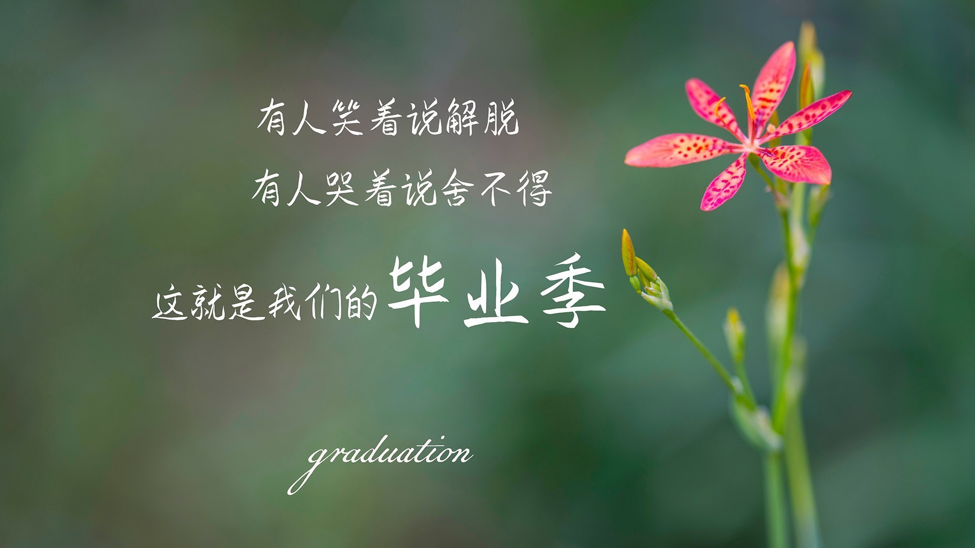 KAIYUN 中国大陆-特色篮球城市赛事方案不断优化，提升城市品牌影响力，篮球赛赛事介绍