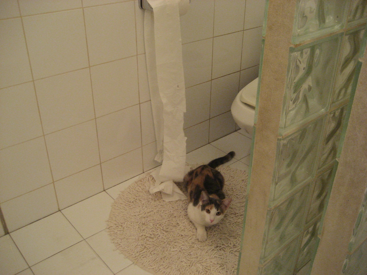 瑞士队中场卡瓦尼在巴黎奥运会上展现出强大的进攻组织能力,卡瓦尼转会巴黎