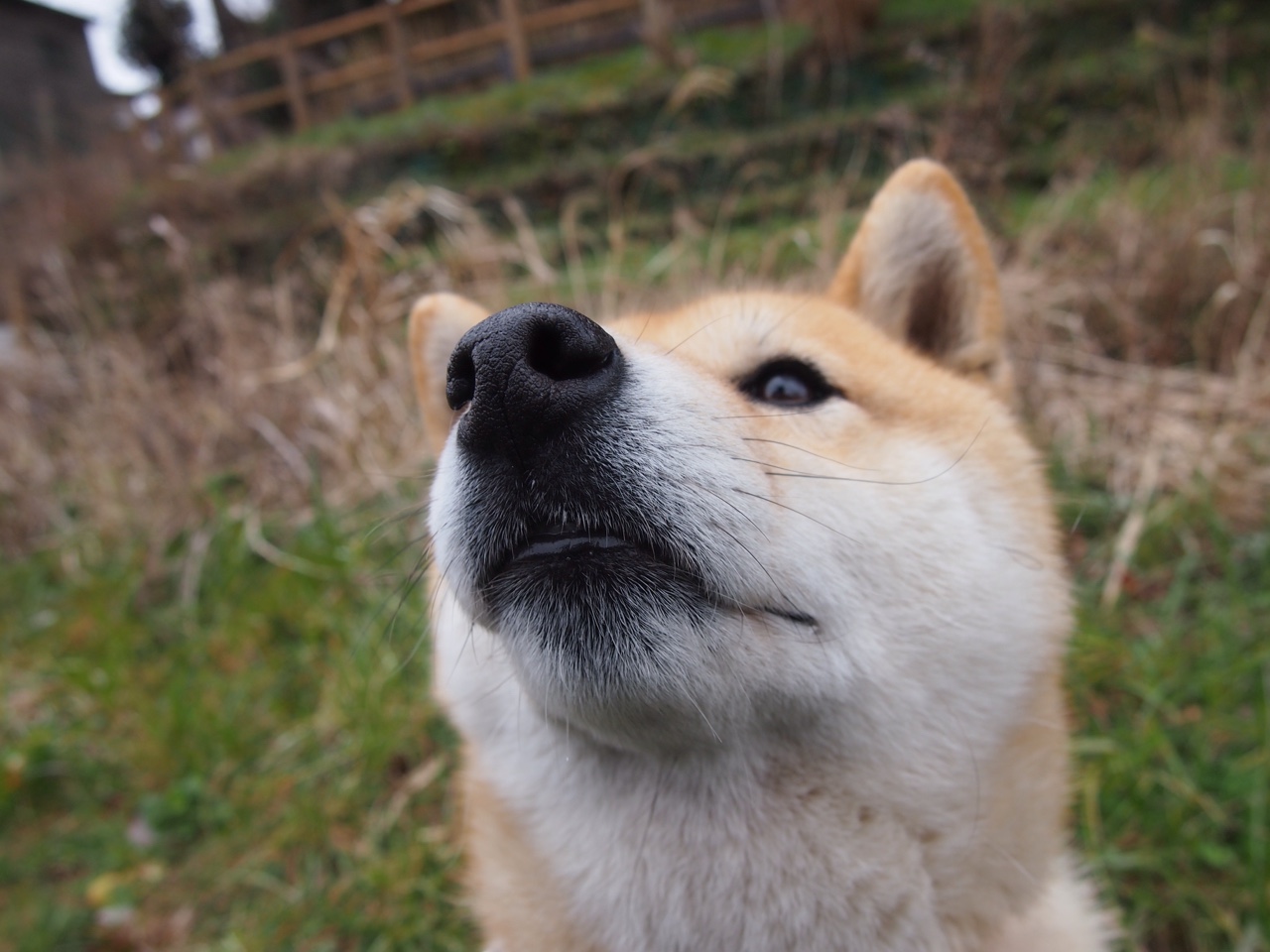 kaiyun登录入口-球迷“最爱”欧冠瞬间：投票揭晓最终排名，欧冠最新排名