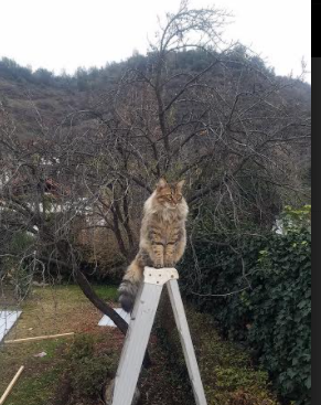 篮球职业联赛多项创新举措成效明显,篮球联赛方案策划书