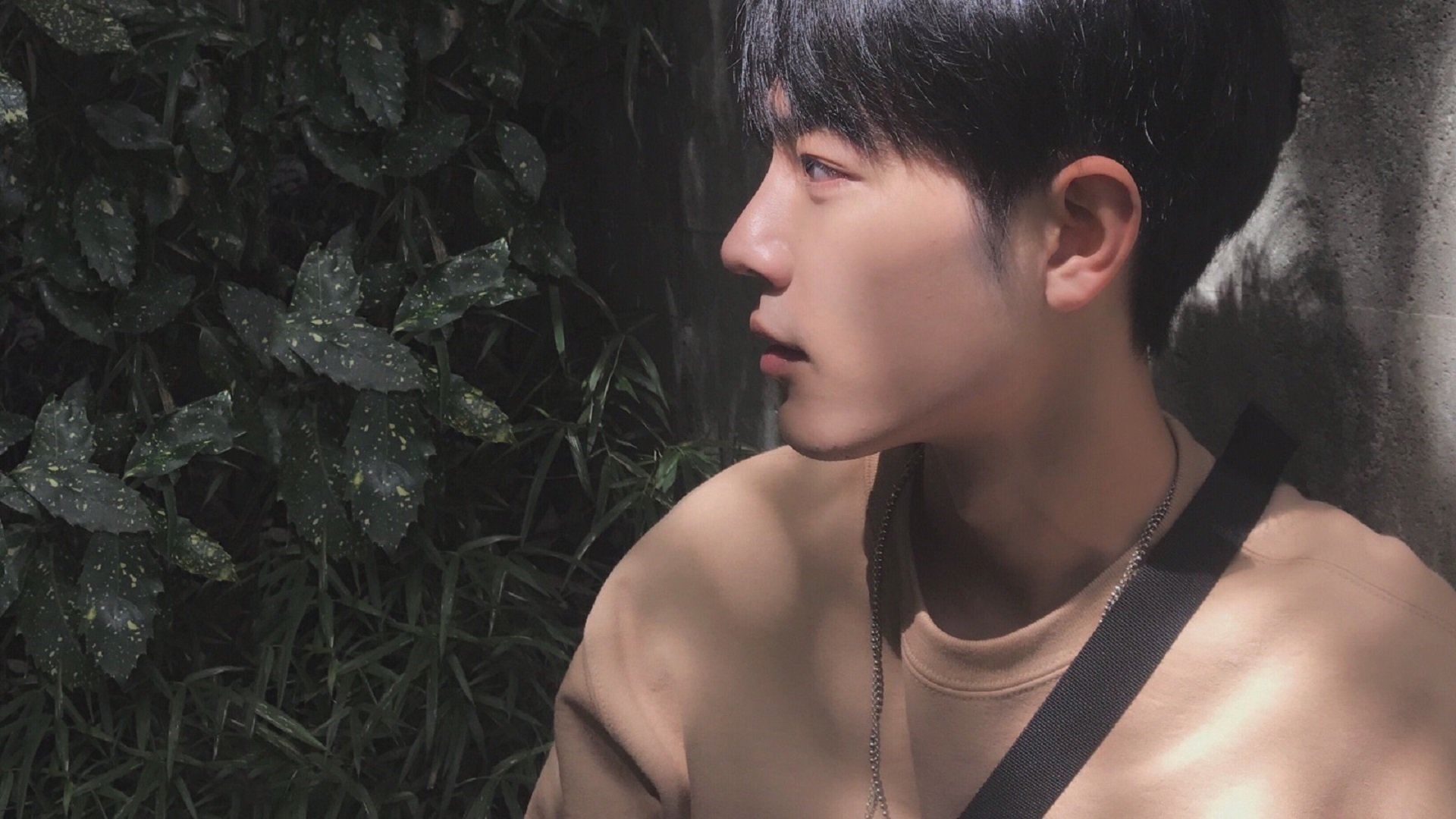 维克托·文班亚马成为NBA社交媒体关注焦点,维克托文班亚马臂展