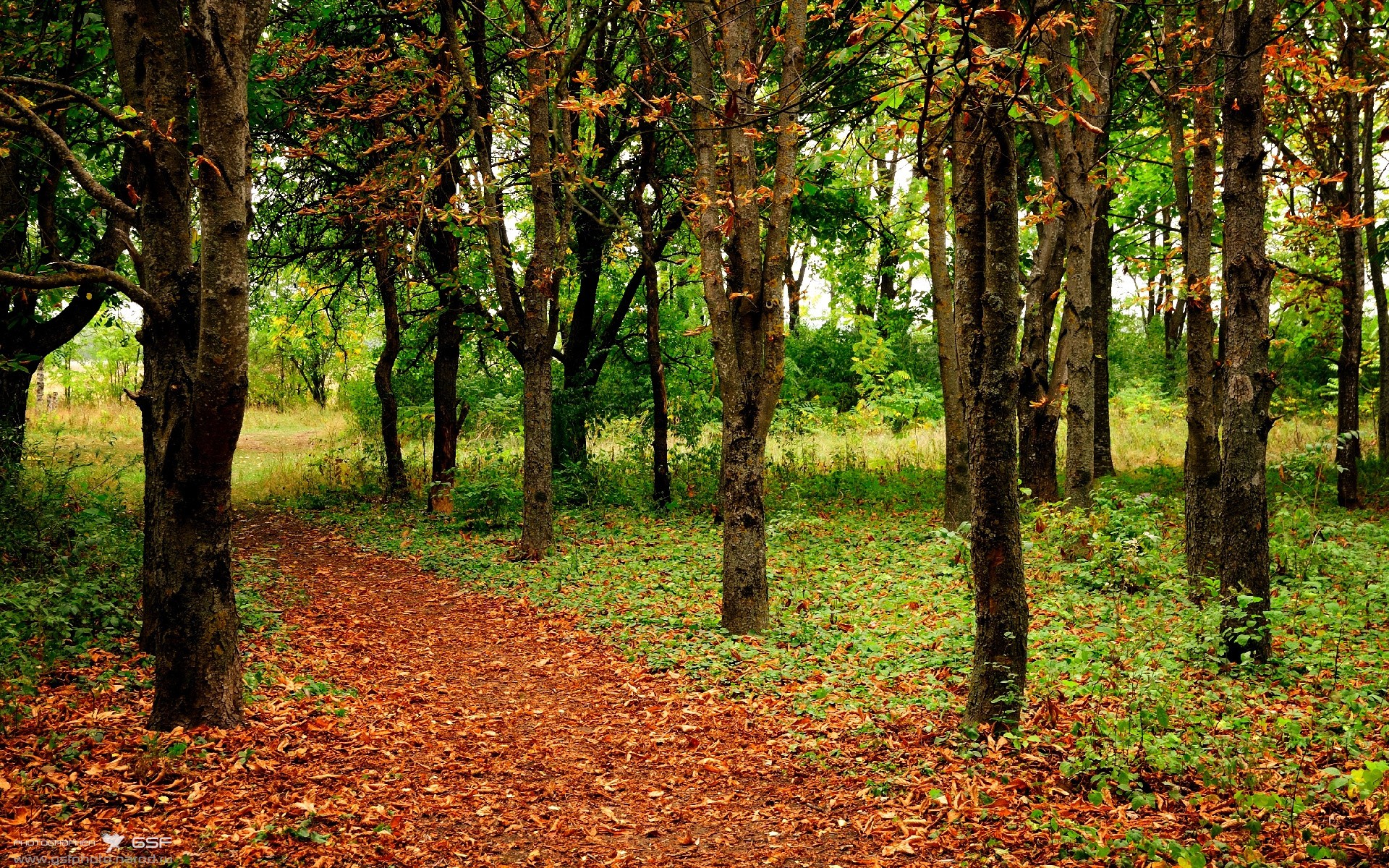 kaiyun.com-网球双打：默契配合的极致展现，网球双打是什么意思