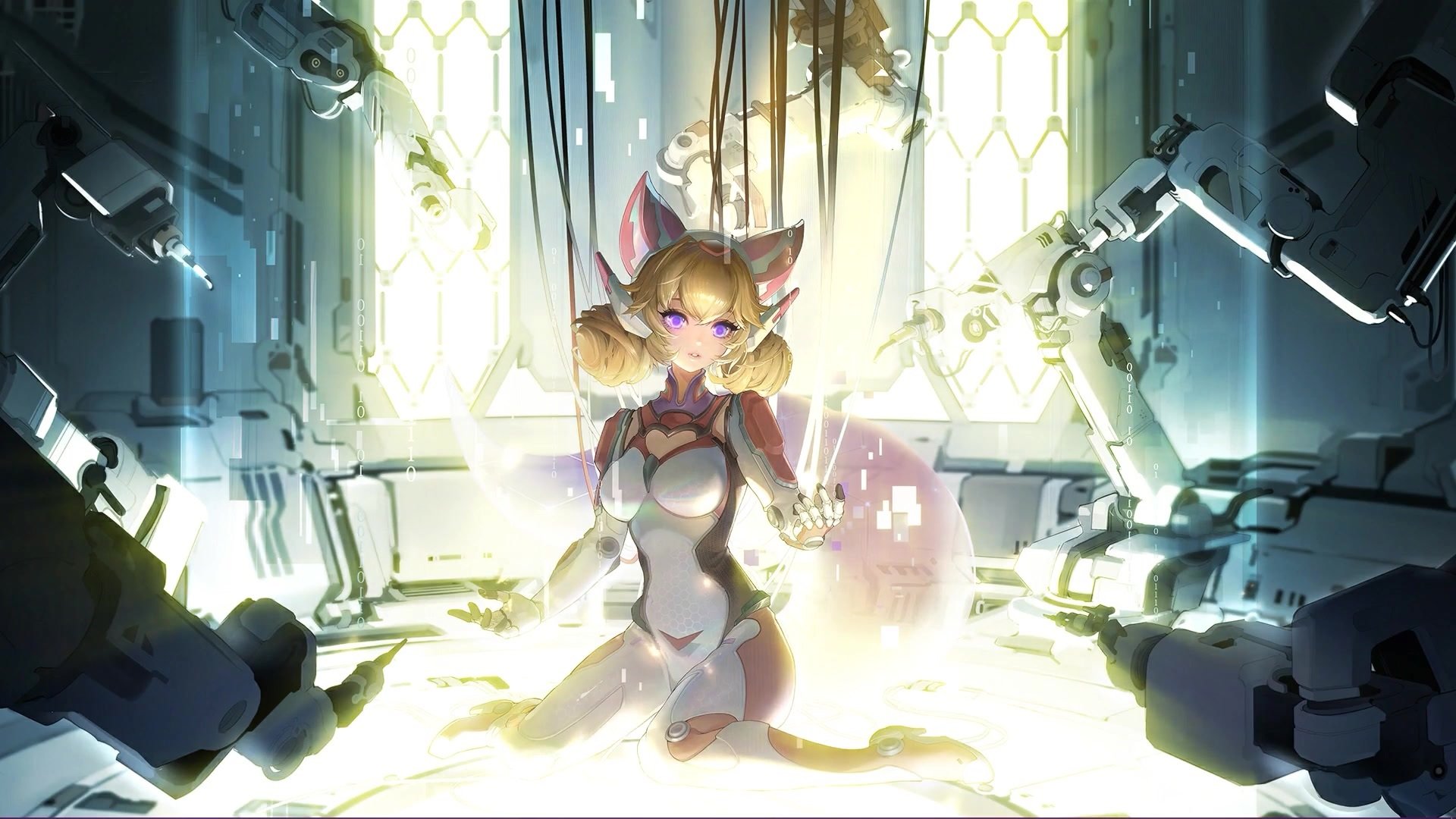 荷兰马术协会与法国马术协会合作,举办国际马术研讨会,促进学术交流。