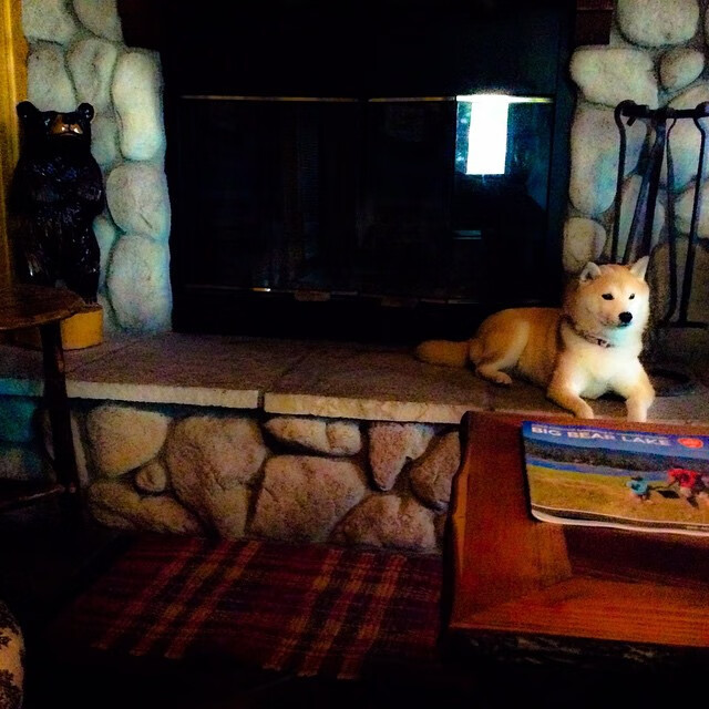 Kaiyun官方登录入口-NBA总经理透露阵容调整计划 中期有望重现辉煌，nba十大总经理