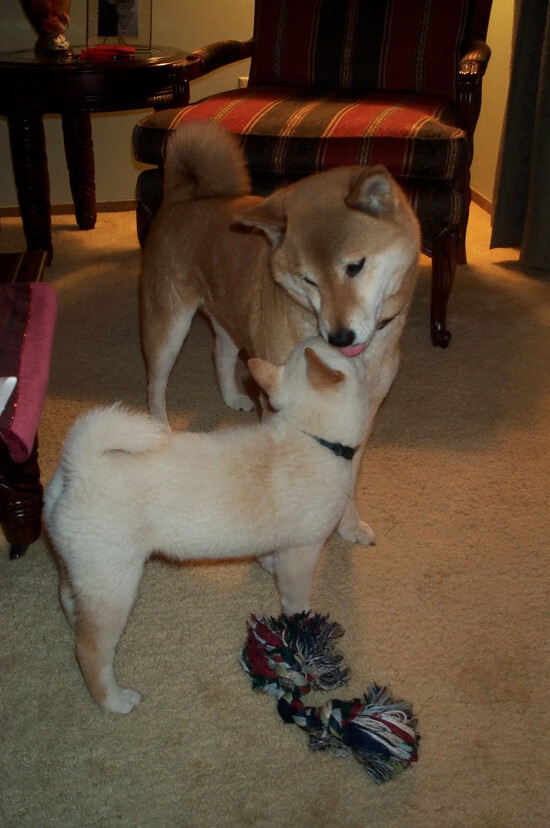 VTB联赛最佳阵容预测,CSKA与尤尼克斯多名球员入选,vtb联合赛比分