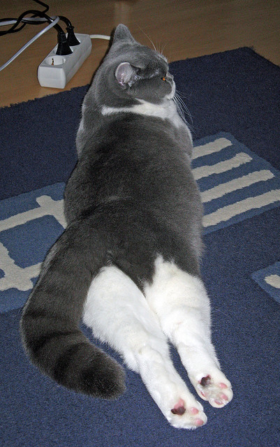 开云·体育官网APP下载-三队球员伤病情况更新，球员受伤