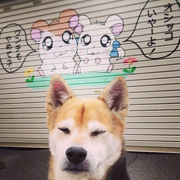 开云网页版-利物浦冬季转会突袭，巴萨神锋或加盟红军，利物浦转会巴萨有谁