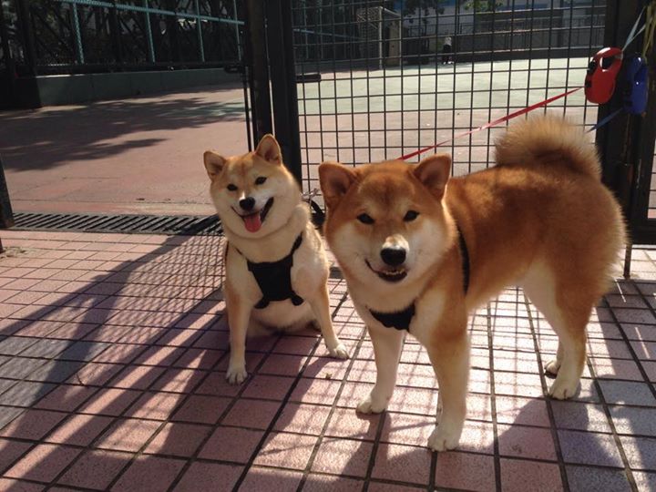 恩佐·费尔南德斯或将加盟皇马,正在马德里看房,恩菲尔德