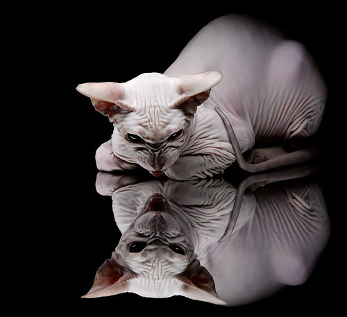 开云·体育官网APP下载-欧洲足球冠军联赛常规赛战况一览，大火阵仗不容错过，欧洲足球联赛是哪些