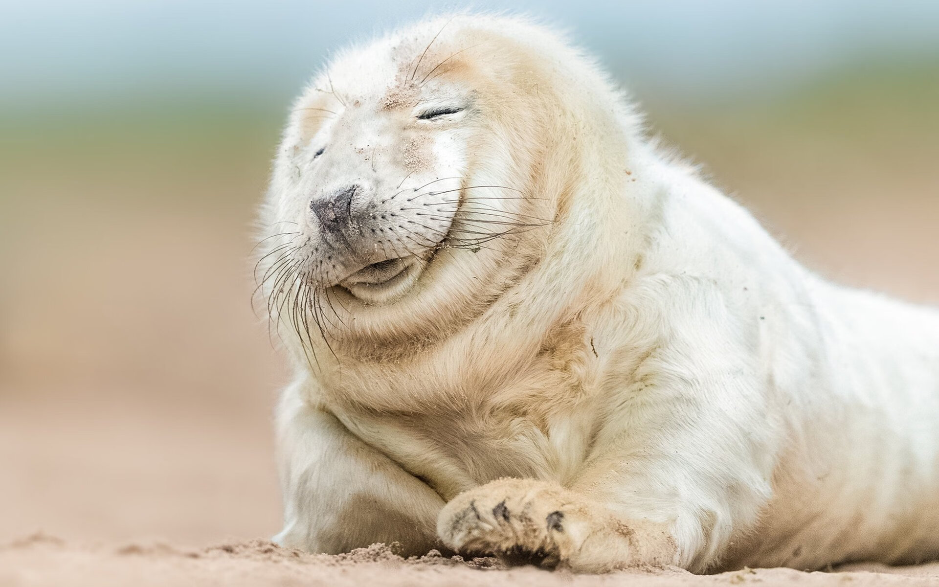 湖人球队赛季战绩稳步攀升,湖人球队赛季战绩稳步攀升