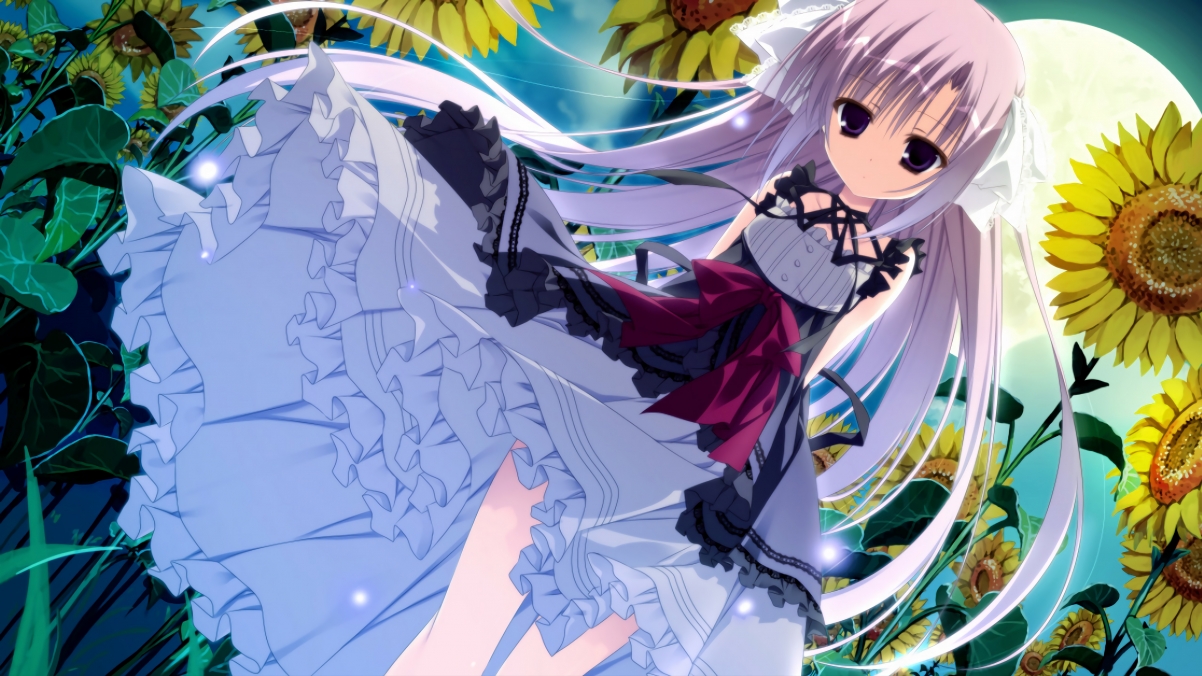 kaiyun开云·官方网站-澳洲冠军争霸赛：强强对话定江山，澳洲10冠军定码