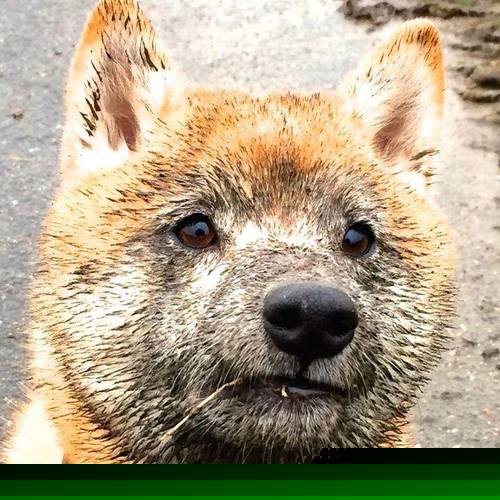 球员转会是否应设冷静期机制,球员转会是否应设冷静期机制呢