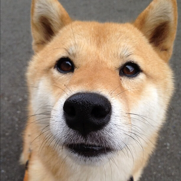 纷纷来袭:亚洲杯赛充满未知惊喜,亚洲杯赛2021