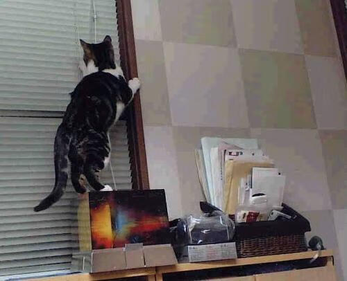 开云kaiyun-西甲焦点战巴萨不敌皇马，贝林厄姆梅开二度，贝林厄姆fm2021