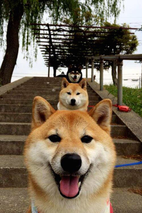 谢菲联客场血战，最终一球小胜，球队扭转颓势，谢菲联俱乐部