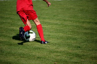 开云网页版-中国篮球俱乐部青训体系绩效评估方法，篮球俱乐部青训营