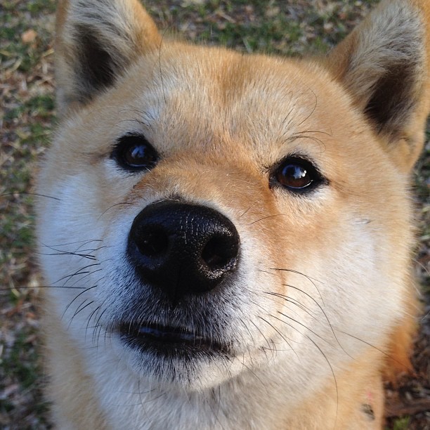 中国篮球俱乐部青训体系绩效评估方法,篮球俱乐部青训营