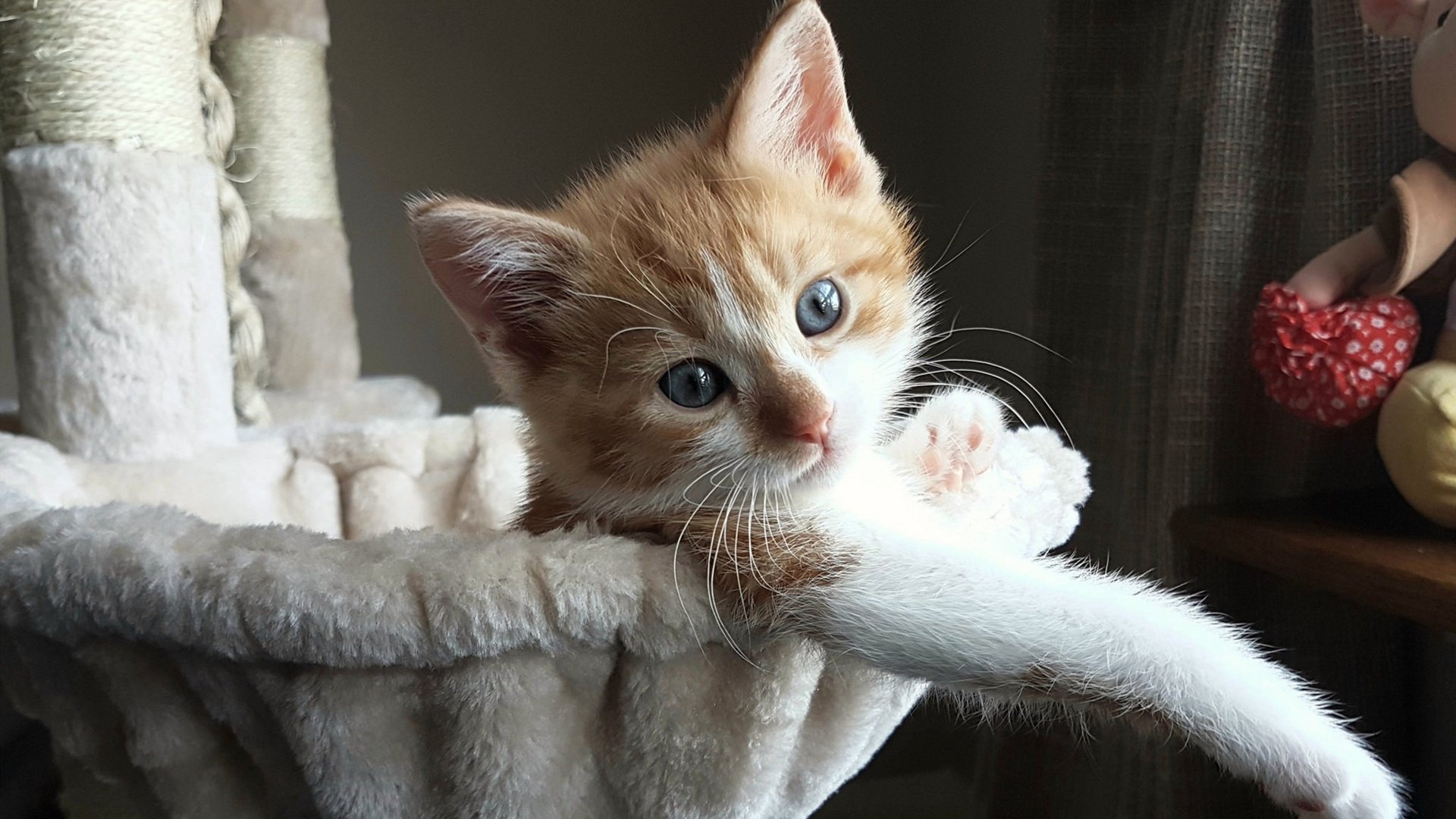 中国篮球青训体系课程改革与教学质量提升方案,中国青少年篮球培训大纲