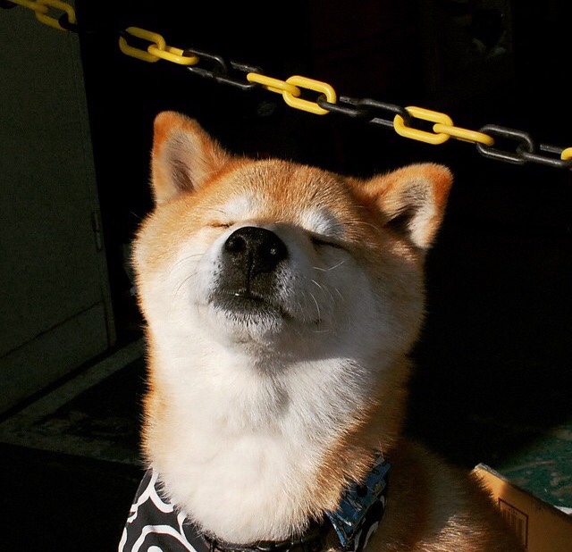 智能体育训练系统用户体验研究,智能运动体育系统