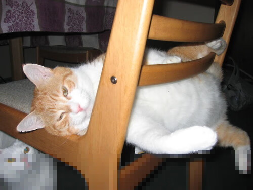 kaiyun网站-“成都三叉湖水上救生赛事：速度与反应的双重考验”