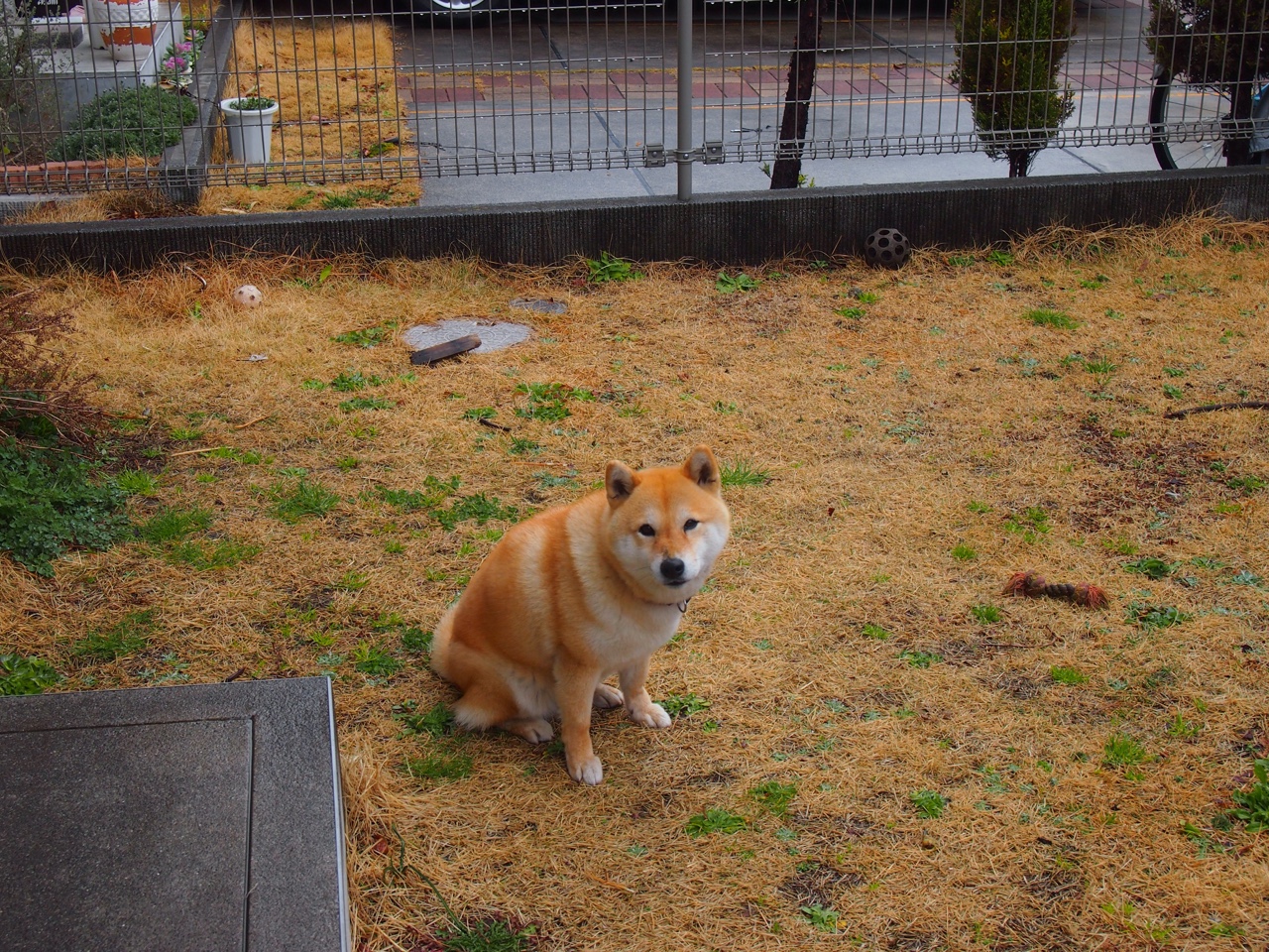 中国女篮着眼长远发展 年轻阵容逐步成熟,中国女篮年龄结构