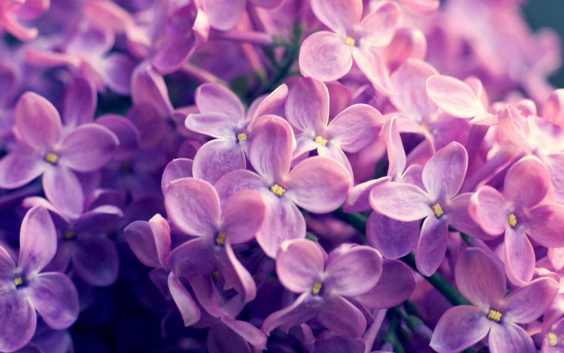 中国女篮着眼细节优化攻防效率,看看中国女篮