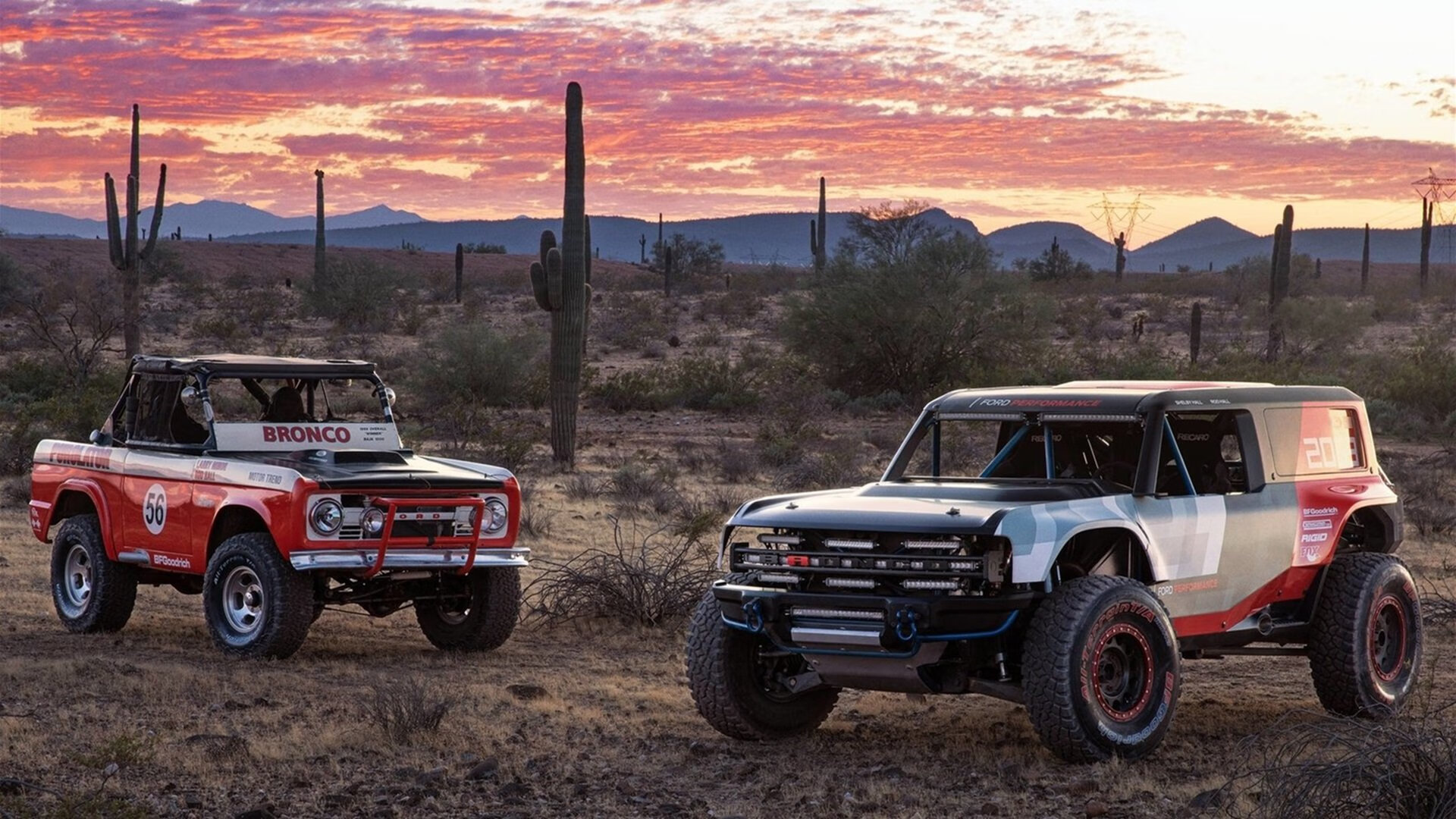 瑞典乒乓球队未来:科学化管理与个性化训练并行,瑞典乒乓球队员名单