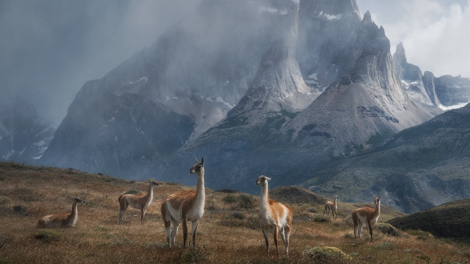 KAIYUNAPP-阿森纳短传快跑建立全新进攻体系，阿森纳最快的球员