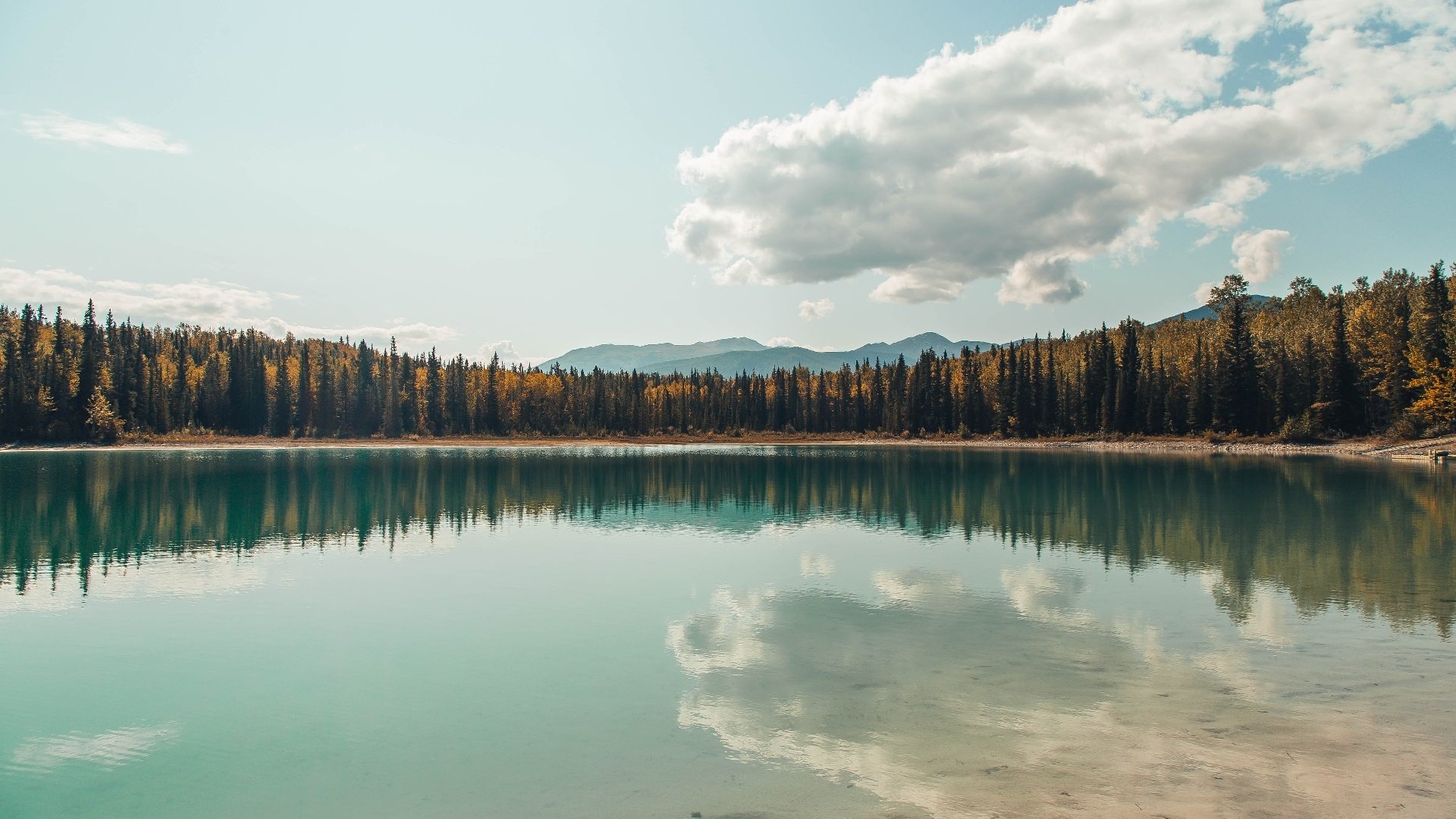 女足联赛引入新技术提升赛事直播体验，女足的比赛直播