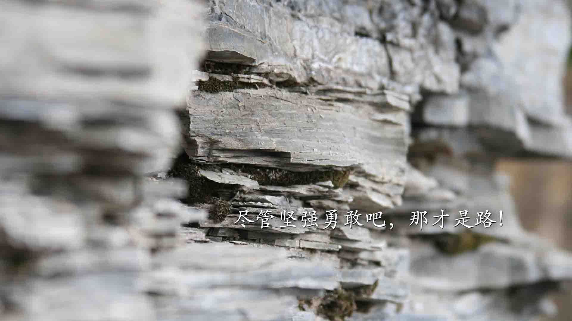 女子赛事门票收入创新高,商业赞助进一步跟进,女子锦标赛