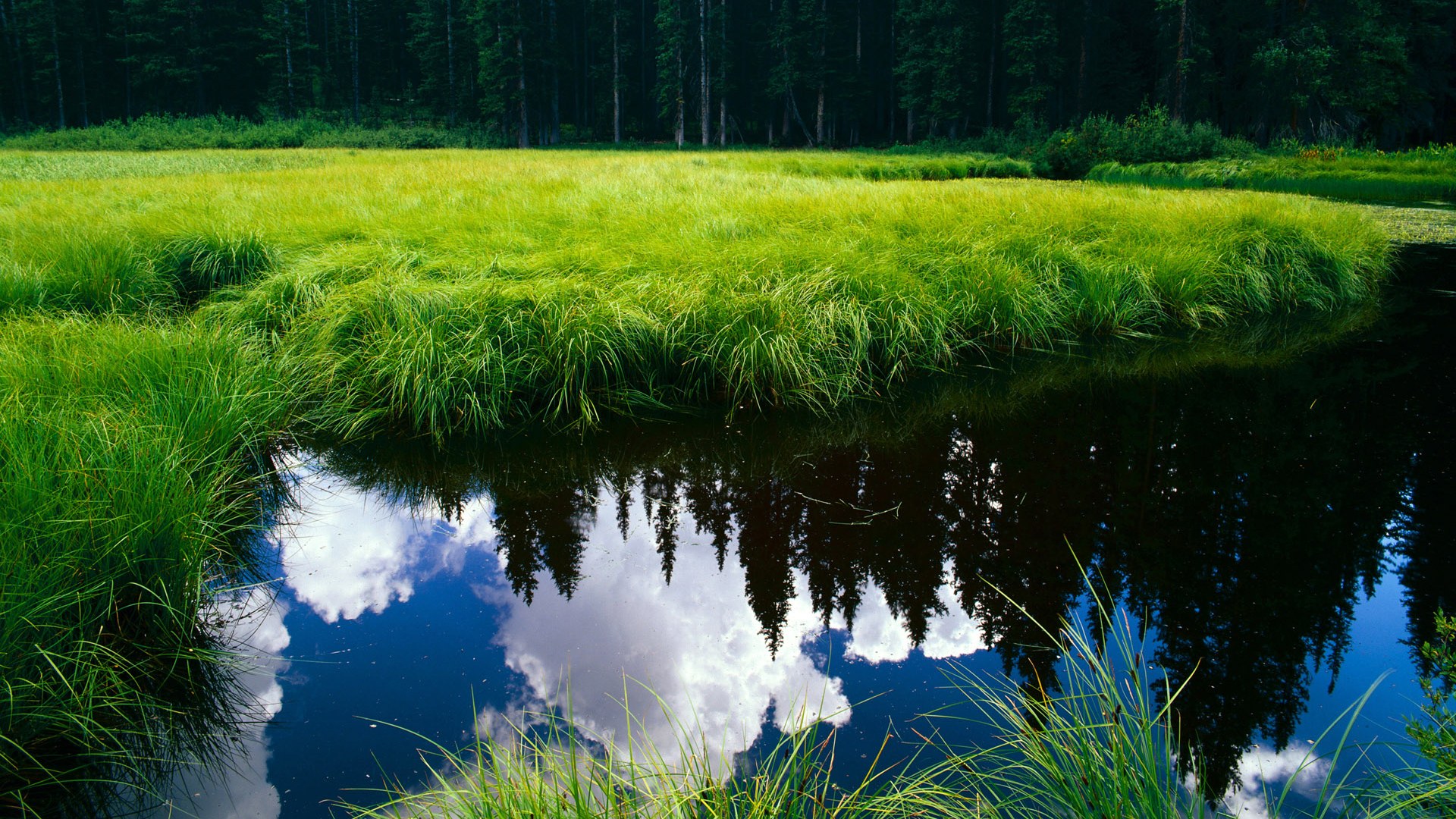 kaiyun开云·官方网站-格鲁吉亚女篮在欧洲锦标赛中崭露头角，迈向世界舞台，格鲁吉亚女生