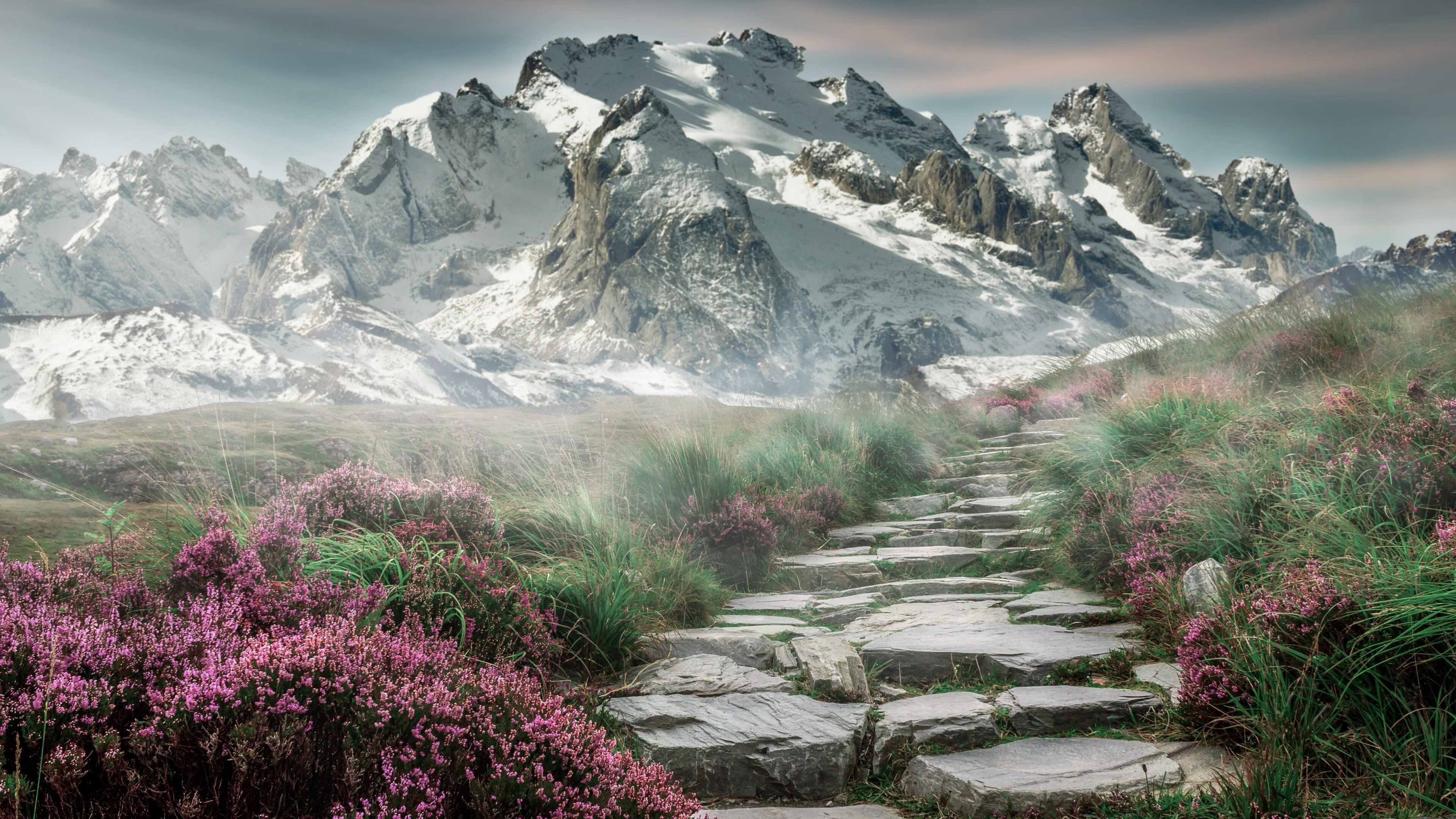 英格兰橄榄球试点智能训练装备,英格兰橄榄球联赛